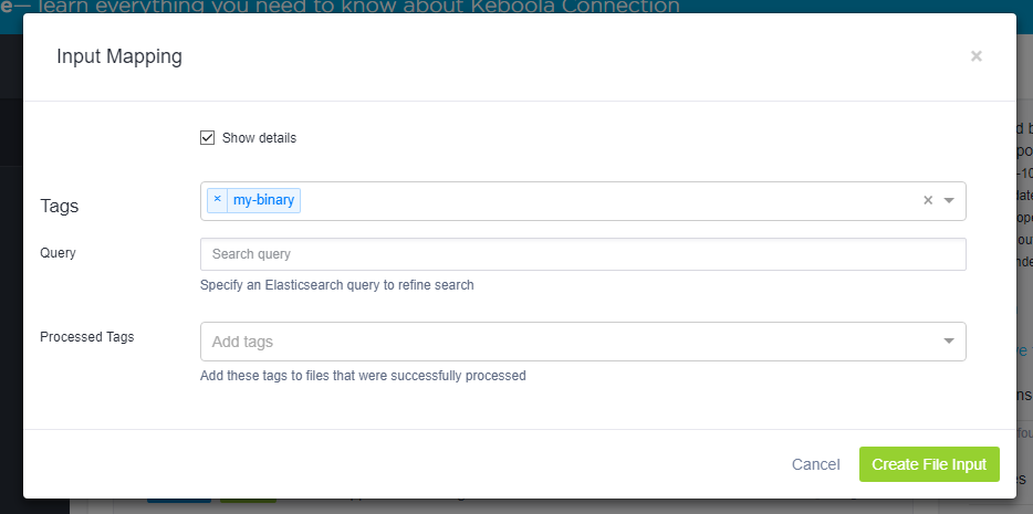File input detail screenshot